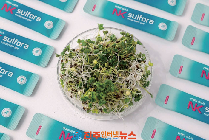 'NK 설포라 브로콜리 새싹 분말'과 함께 활력 넘치는 하루를 경험해 보세요!