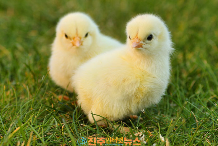 나를 단단하게 만드는 힘, 진정한 성장의 길