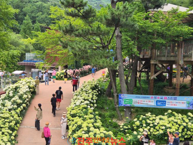 진주시 2026 월아산 수국정원 축제 수국 수국 페스티벌 성황리 마무리