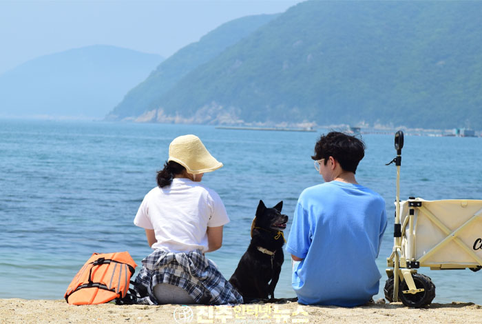 7월 4일부터 순차 개장…안전관리 강화는 긍정적이지만 개장 전후 구조 공백, 바가지요금, 환경 관리 등 고질적 문제 해결이 관건