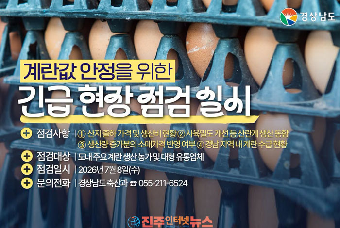 치솟는 계란값, 생산은 늘어도 가격은 그대로…경남도 유통구조 정조준
