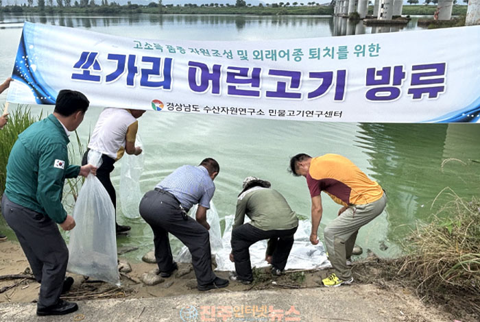 쏘가리 1만2천 마리 방류…생태계 복원의 시작, 성공은 방류 이후가 더 중요하다