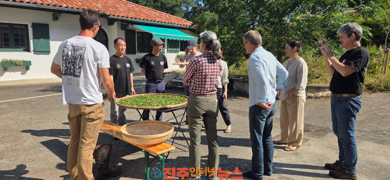하동 덖음차 유럽을 사로잡다