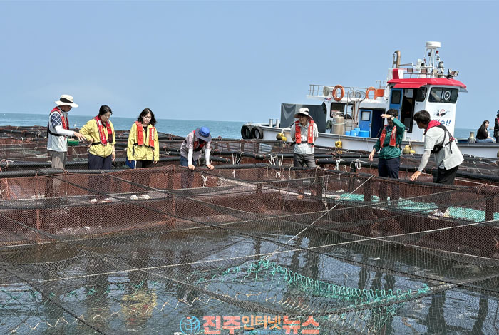 경남 사천만·강진만 올해 첫 고수온 주의보…경남도 비상대응 돌입, 양식어가 피해 차단 총력