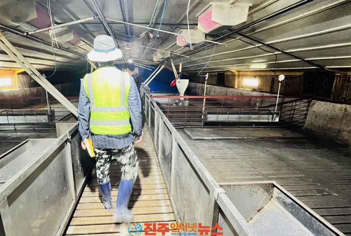 창녕·의령 입식시험 돌입, 합천·산청 재입식 준비…농가 정상화와 재발 방지 위한 방역체계 고도화 시급