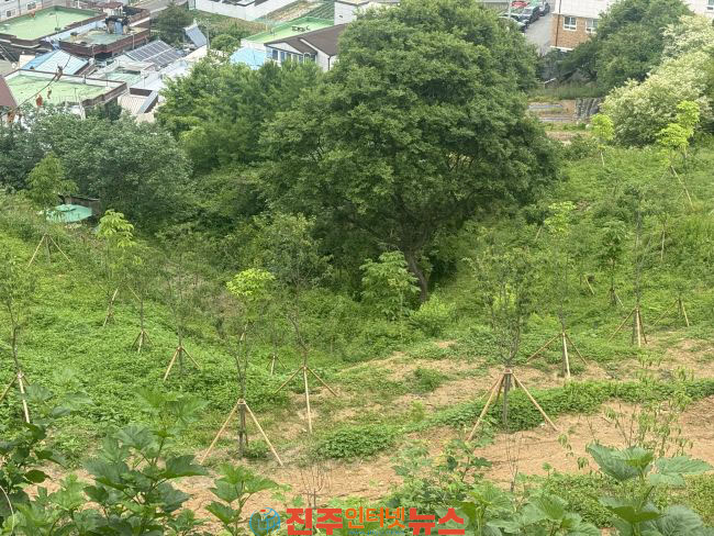 진주시 2026 조림사업 마무리 미래 산림자원 조성