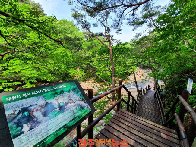 산청군지역아동센터연합회 숲속 여름나기 참가 지리산 생태체험