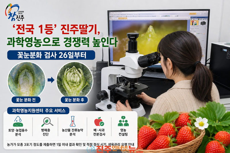 진주시 딸기 꽃눈분화 현미경 검사 무료 실시