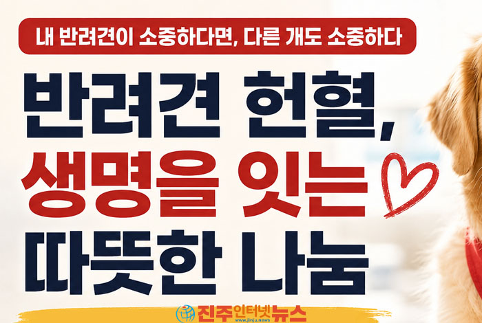 반려견 헌혈, 공혈견 문제의 해답 될까? 헌혈견 조건부터 헌혈센터·건강검진까지