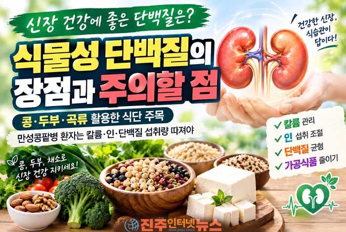 신장 건강, 단백질이 문제일까? 식물성 단백질 섭취가 주목받는 이유