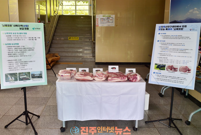 산청 난축맛돈 첫 출하…종돈 42마리에서 내륙 생산 기반 구축