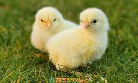 나를 단단하게 만드는 힘, 진정한 성장의 길