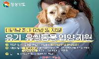 경남 유기동물 입양에 최대 65만 원 지원… 경남도의 실험, 출구보다 입구가 중요하다