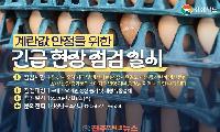 치솟는 계란값, 생산은 늘어도 가격은 그대로…경남도 유통구조 정조준