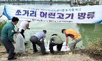 쏘가리 1만2천 마리 방류…생태계 복원의 시작, 성공은 방류 이후가 더 중요하다