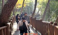 진주시, ‘진양호 르네상스’ 성과…관광명소 ‘재탄생’