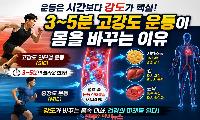 운동은 ‘시간’이 아니라 ‘강도’가 핵심이다: 고강도 운동이 몸속 변화를 이끈다