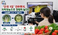 진주시, ‘딸기 꽃눈분화 현미경 검사’ 무료 실시
