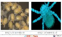 질병관리청, 전국 18곳 털진드기 감시…가을철 쯔쯔가무시증 예방 비상