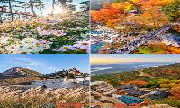 산청군, 반값 플렉스 여행 10월 참여자 모집